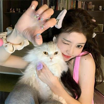 橱窗里的兔子先生
