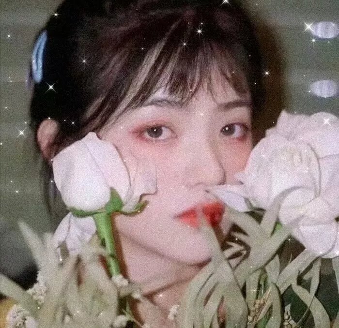 史明·革命进行式